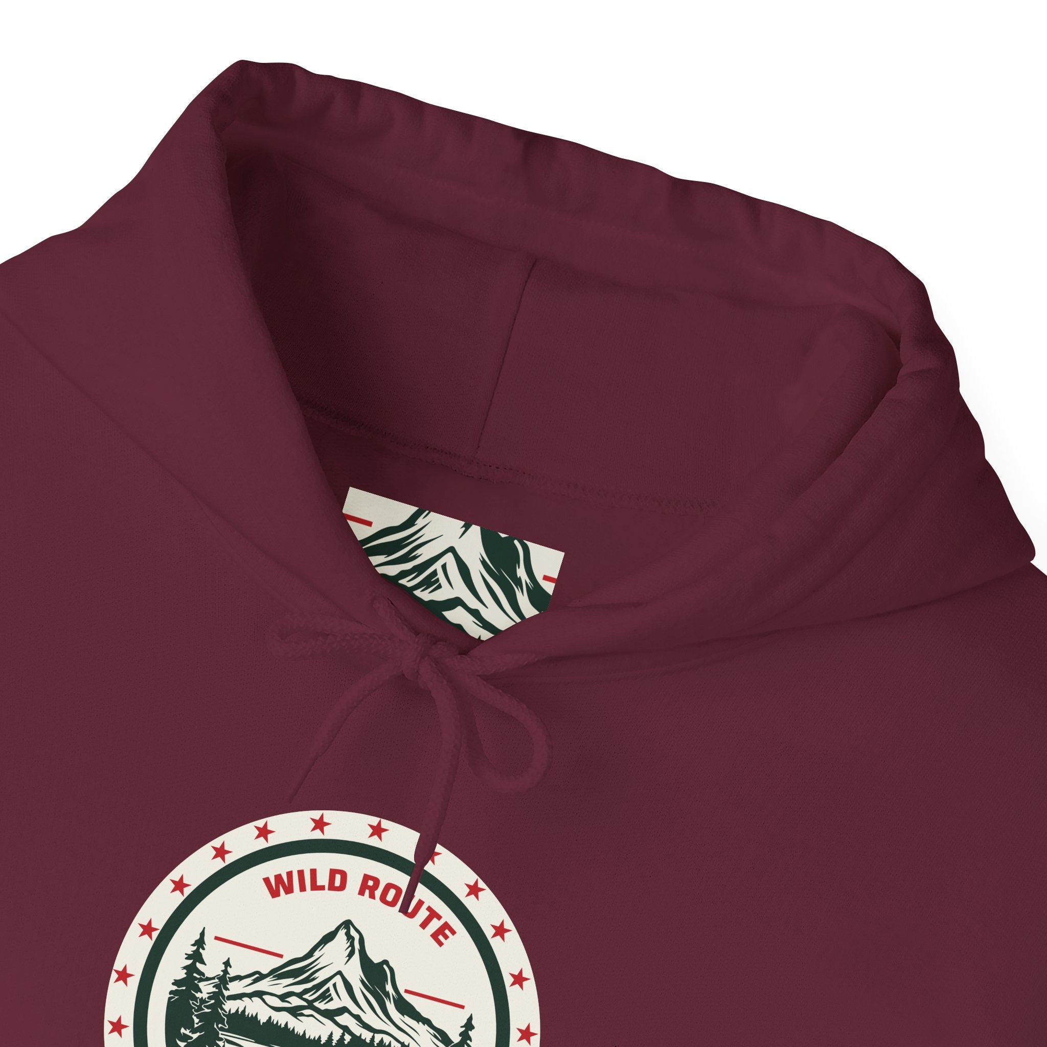 Adventure Bear Hoodie — Scenic Mountain Camp Graphic Sweatshirt