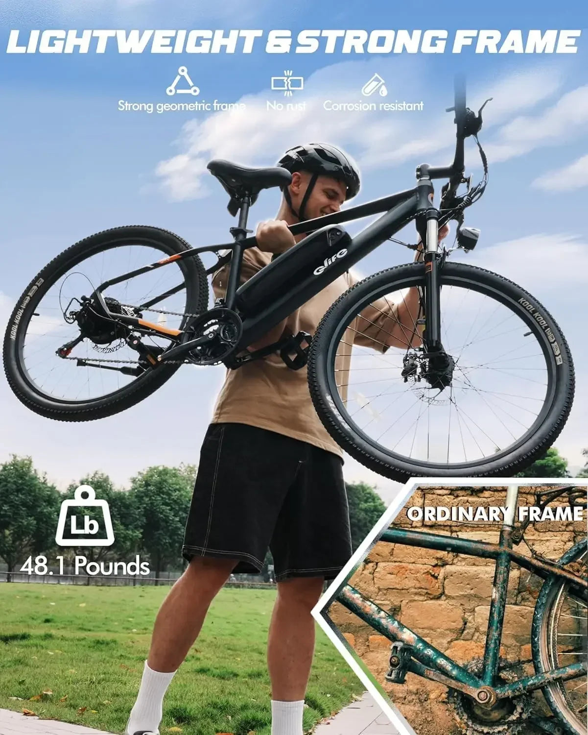 21-Speed Mountain Lightweight Ebike