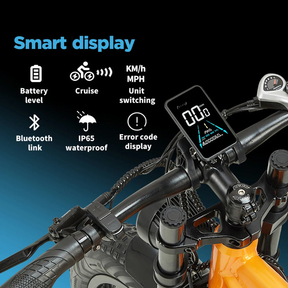 Electric Bike Mountain Ebike