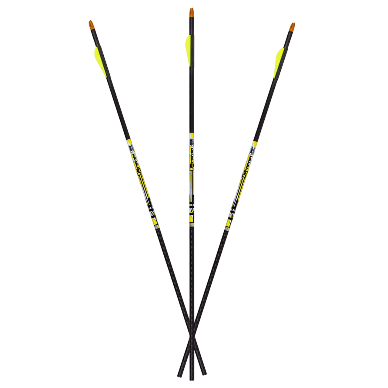 Carbon Express D-Stroyer Fletched Carbon Hunting Arrows (6-Pack)