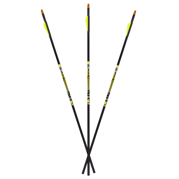 Carbon Express D-Stroyer Fletched Carbon Hunting Arrows (6-Pack)