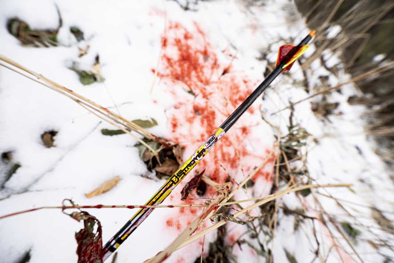 Carbon Express D-Stroyer Fletched Carbon Hunting Arrows (6-Pack)