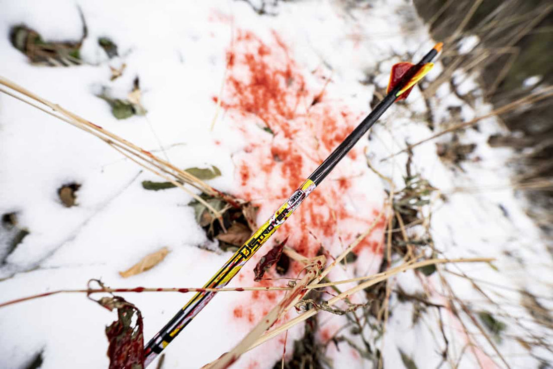 Carbon Express D-Stroyer Fletched Carbon Hunting Arrows (6-Pack)