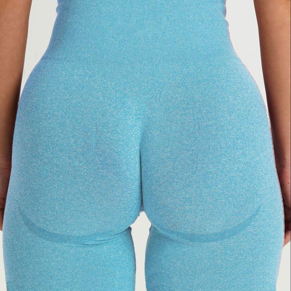 Ultra Soft Seamless High Waist Shorts – Women’s Gym Wear